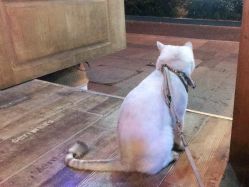 -青木造型HAIR·あおき髪を刈る潮人店