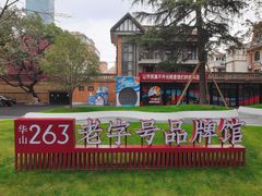 -华山263老字号品牌馆