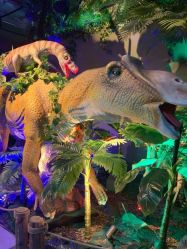 -恐龙探索乐园(磁器口店)