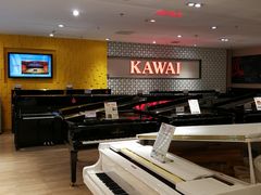 -柏斯音乐艺术中心·钢琴·吉他(世纪金源店)