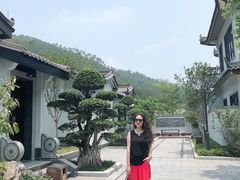 -聚龙小镇