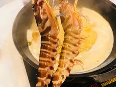 -鲜入围煮花胶鸡海鲜火锅