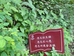 -终南山南五台景区