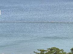 -威海国际海水浴场旅游区