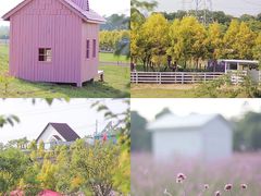 -紫颐香薰山谷景区