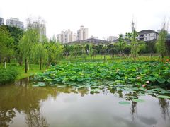-沐仙湖湿地公园