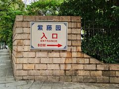 -嘉定紫藤园