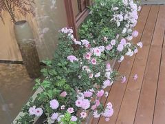 -小茶闲舍·观景商务茶馆(广州塔店)