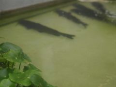 -大理老字号·舟渔的鱼野生菌海景餐厅(双廊店)