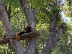 -石家庄市动物园