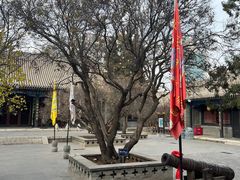 -内蒙古将军衙署博物院