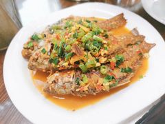 -张氏父子常德肠子馆(红星总店)