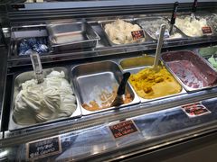 云南茉莉-歎雪糕低糖低脂Gelato冰淇淋