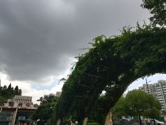 -上海动物园(地铁站)