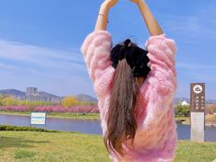 -羊亭河湿地公园