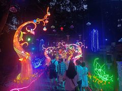-广西壮族自治区药用植物园