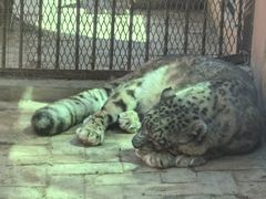 -青藏高原野生动物园