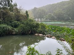 -河南省黄河迎宾馆