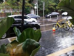 -椿1978江湖菜