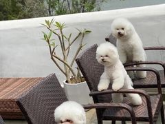 -素心小筑(后沙裕镇店)