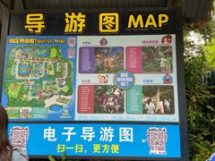 -广州长隆飞鸟乐园