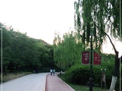 -南翠屏公园