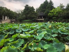 -杭州西子湖四季酒店-WL BISTRO西湖餐厅(灵隐路店)