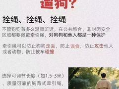 -瑞派天使宠物医院·神经外科·骨科·核磁CT(洛川中路店)