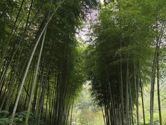 -水墨汀溪风景区
