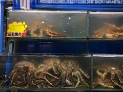-蚝专家(北滘店)