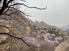 -北京凤凰岭