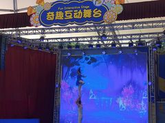 -史努比缤纷世界
