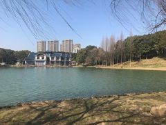 -新洲生态园