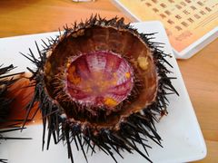 -海胆小馆(东北水饺·春柳店)