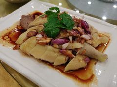 葱油淋鸡-姚林轩