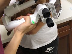 -美联众合动物医院·24h转诊中心