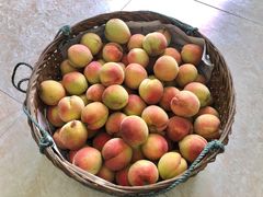 穆阳水蜜桃-穆阳水蜜桃