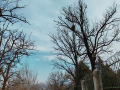 -鹫峰国家森林公园