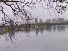 -食膳公园包子铺(烈士公园店)