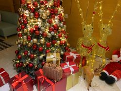 -杭州贝瑞斯美华妇儿医院·早孕·产检·儿科