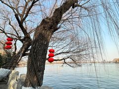 -济南大明湖景区