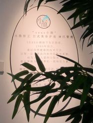 -SEAS小顏·日本小颜整骨美容サロン