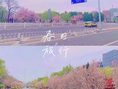 -元大都城垣遗址公园