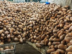 -江杨农产品批发市场