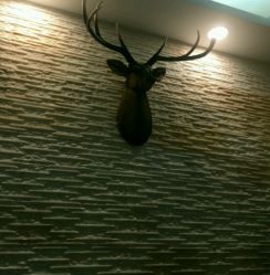 -SWANK SALON