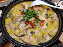 -鲁宴·鲁煨黄河生态大鲤鱼(月坛店)