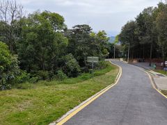 -黄埔油麻山森林公园