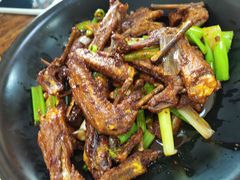 -掌上鲜(南顺城街店)