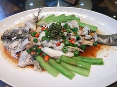 鲜花椒蒸桂花鲈-猪肉婆私房菜(容桂总店)