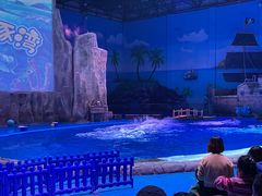 -华夏文旅海洋公园